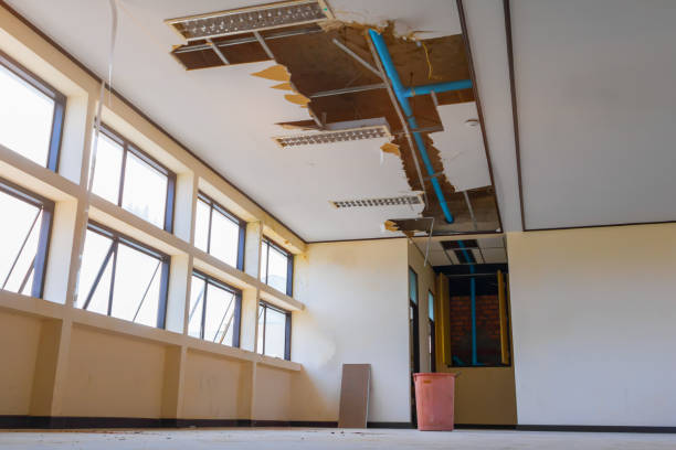 Best Water damage restoration specialists  in Oasis, CA