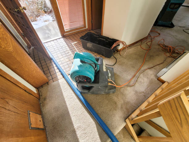 Best Ceiling water damage repair  in Oasis, CA