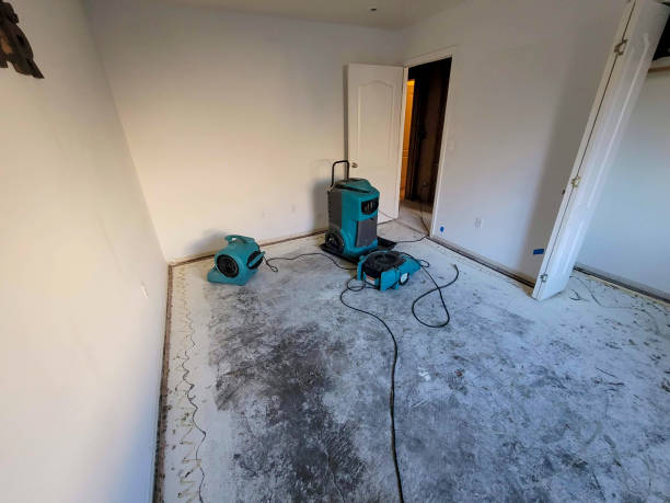 Best Water damage contractors near me  in Oasis, CA