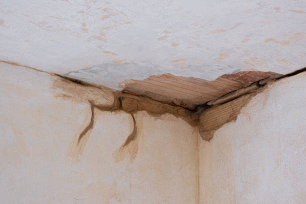 Reliable Oasis, CA Water damage restoration Solutions