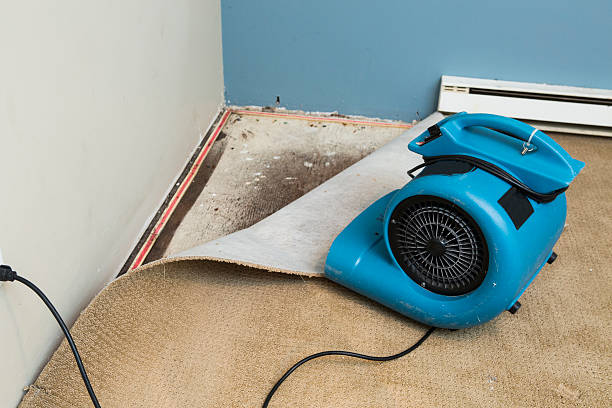 Best Water damage restoration near me  in Oasis, CA